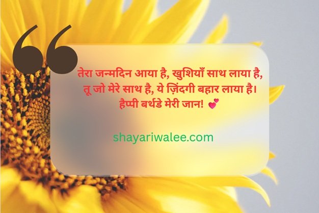 🎉 Birthday Shayari in Hindi: दिल से निकली सालगिरह की शुभकामनाएँ 🎂 2 birthday shayari in hindi