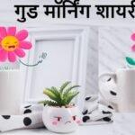 गुड मॉर्निंग शायरी इन हिंदी: Good Morning Shayari in Hindi 11 good morning shayari