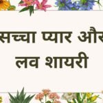 true love love shayari