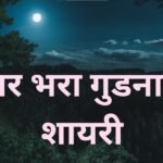 Good Night Shayari Love